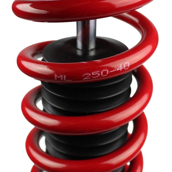 Buy (Most Cars) DII JAPAN Comfort & Stable HiLow Adjustable Absorber